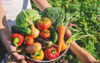 Gastronomia Sostenible