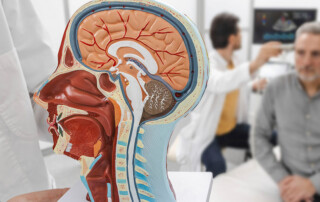 Investigadores analizan el impacto de un nuevo fármaco diseñado para reducir el daño cerebral tras un accidente cerebrovascular.